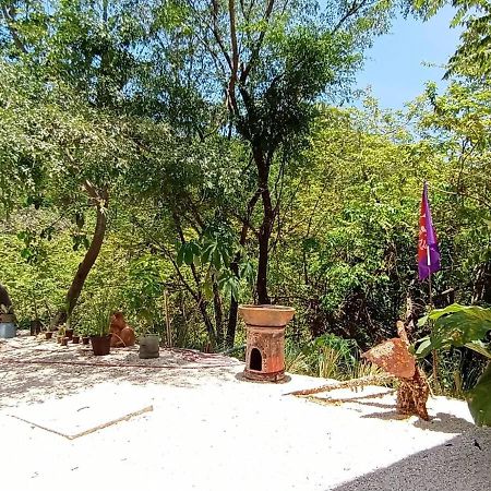 Playa Santa Teresa  Laurel Jungle & Oceanヴィラ エクステリア 写真