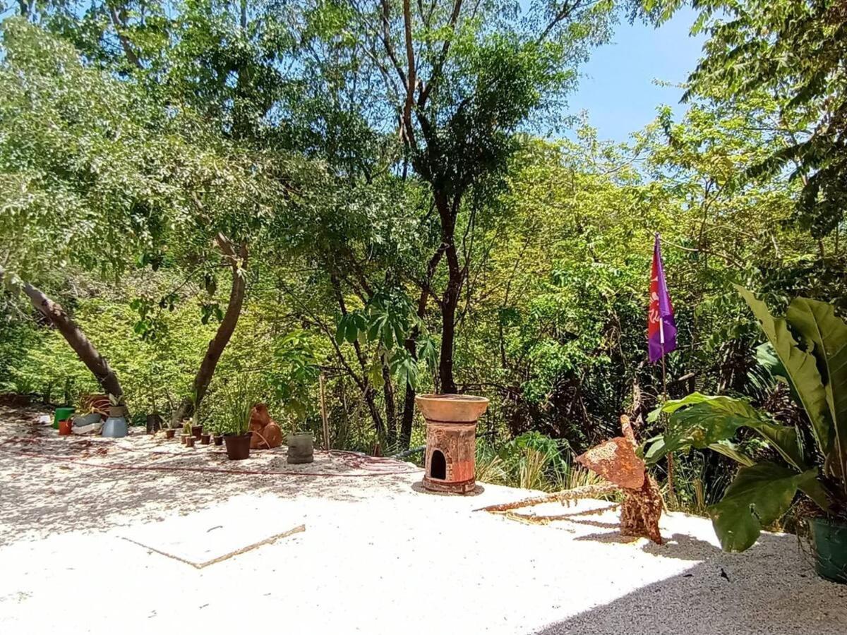 Playa Santa Teresa  Laurel Jungle & Oceanヴィラ エクステリア 写真